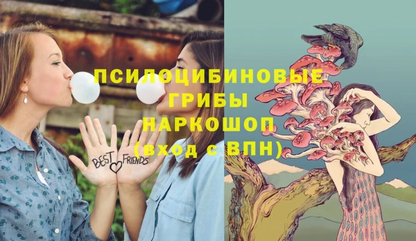 экстази Богородск