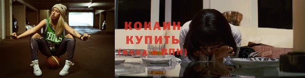 гидропоника Богданович