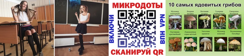 Купить Советский Псилоцибиновые грибы Cubensis